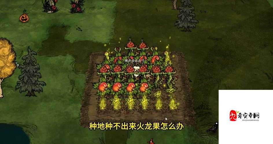 饥荒手游代码如何修改以提升游戏体验？