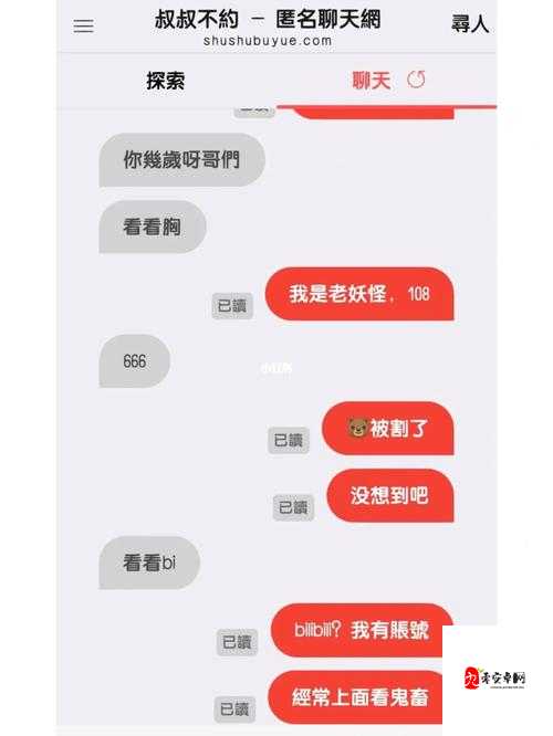 叔叔不约在线聊匿名聊天：开启未知交流的神秘之旅