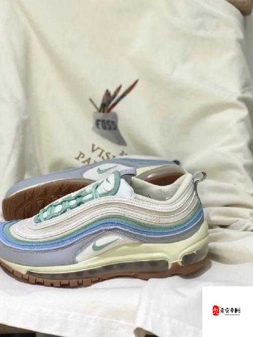 AirMax97 杂交又增续集之独特魅力与创新发展之路