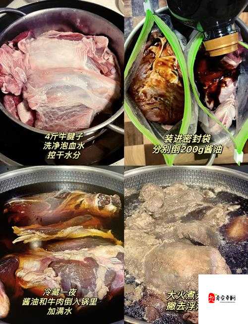 炖肉秘籍海棠计今夏新解：解锁炖肉美味新秘籍