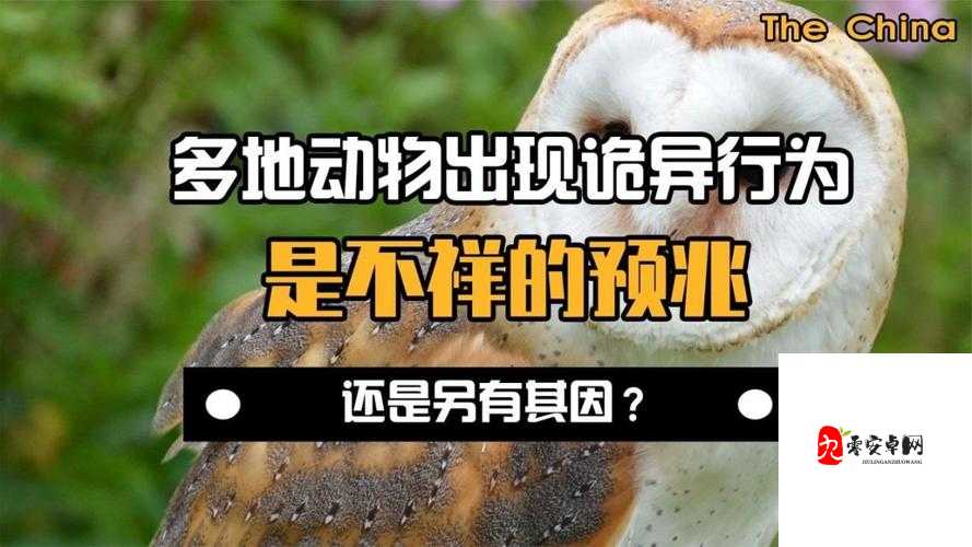 小孩半夜喂女孩吃困吧，诡异行为引猜测