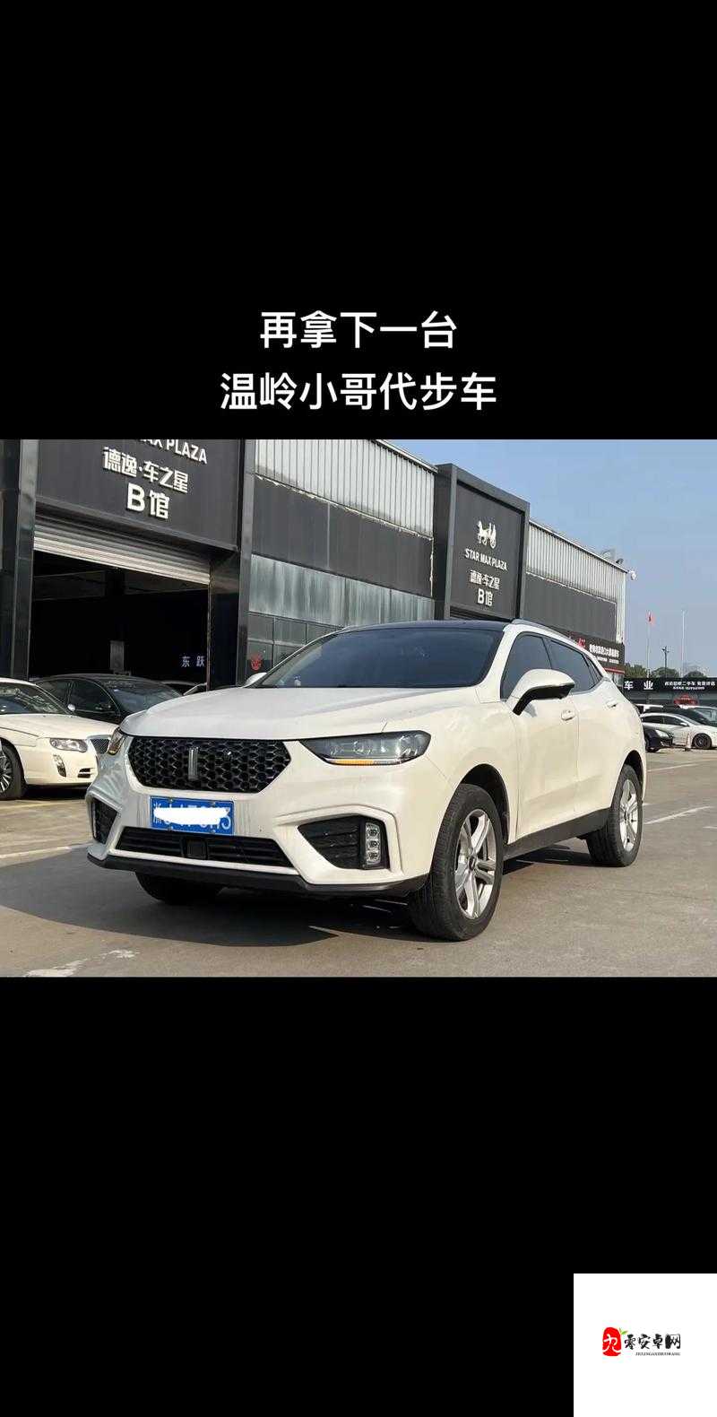 weyvv5 国产的 suv 视频：时尚外观，强劲动力