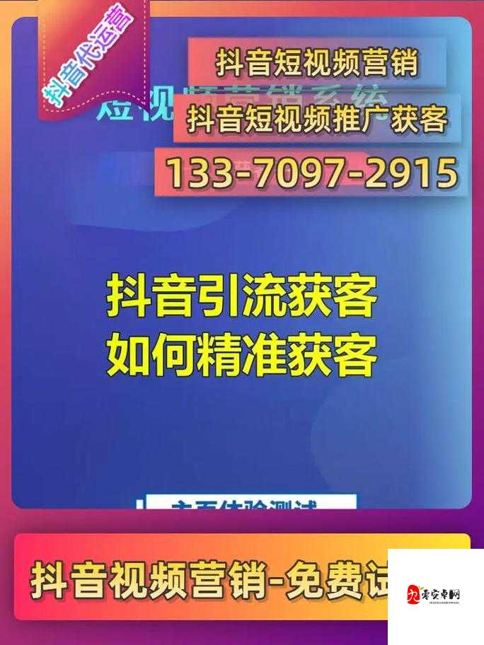 Seo 短视频网页入口引流：打造高效流量引入新途径