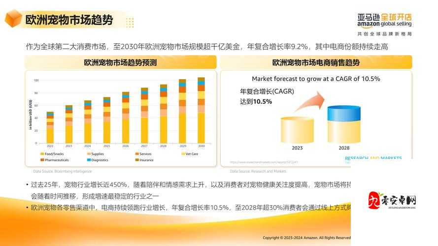 2023AMAZON 欧洲站畅销产品一键掌握：掌握最新潮流，开启销售新局