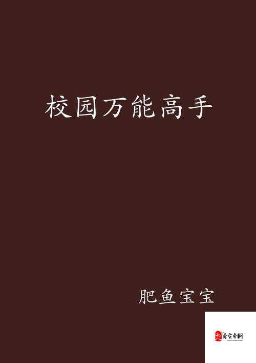 收入囊中校园 HPN：开启校园精彩新篇章